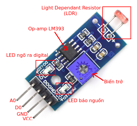 module light sensor